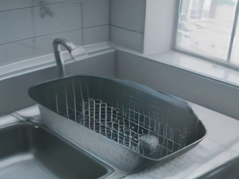 Clean mesh dishwasher filter resting by the sink