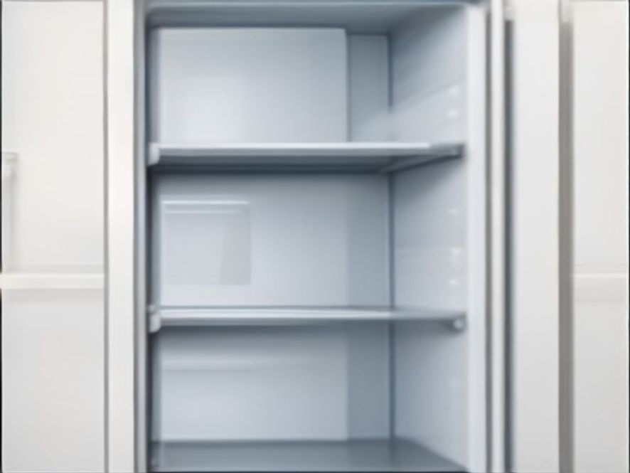 A close up of an empty refrigerator interior after a long absence.